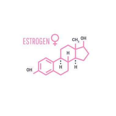 Kadın cinsel sağlığı hakkında temel bilgiler.