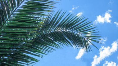 Yaz tatil ve iş seyahat kavramı kopya alanı.