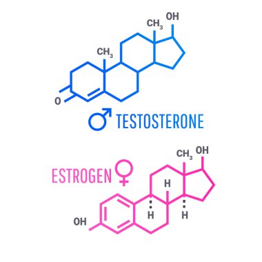 Kadın ve erkek cinsel sağlık hakkında temel bilgiler.