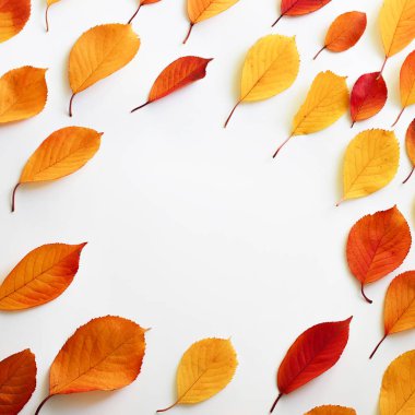 Sonbahar kompozisyon. Düz yatıyordu, en iyi görünümü