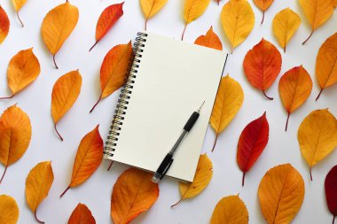 Sonbahar düz kompozisyon yatıyordu. Bright defter ile beyaz bir arka plan üzerinde bırakır.