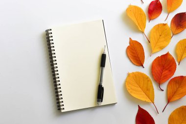 Sonbahar düz kompozisyon yatıyordu. Bright defter ile beyaz bir arka plan üzerinde bırakır.