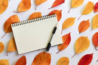 Sonbahar düz kompozisyon yatıyordu. Bright defter ile beyaz bir arka plan üzerinde bırakır.