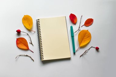 Sonbahar düz kompozisyon yatıyordu. Bright defter ile beyaz bir arka plan üzerinde bırakır.