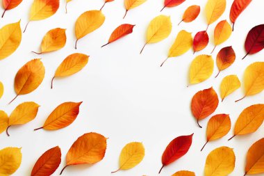 Sonbahar kompozisyon. Düz yatıyordu, en iyi görünümü