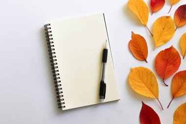 Sonbahar düz kompozisyon yatıyordu. Bright defter ile beyaz bir arka plan üzerinde bırakır.