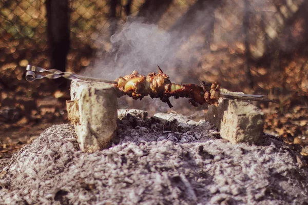 Shish kebab on the improvised oven made of brick — Stock Photo, Image