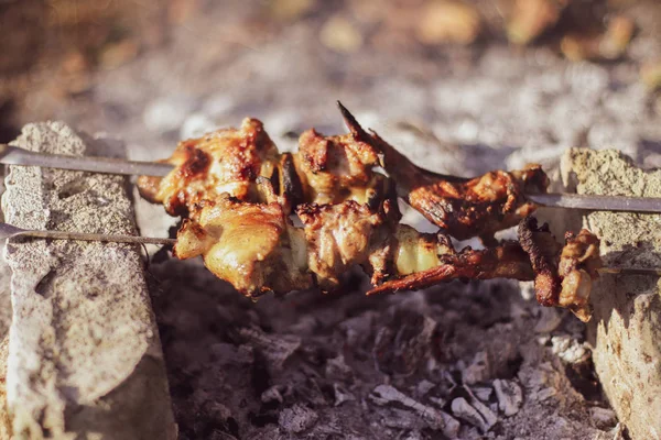 Shish kebab op de geïmproviseerde oven van baksteen — Stockfoto