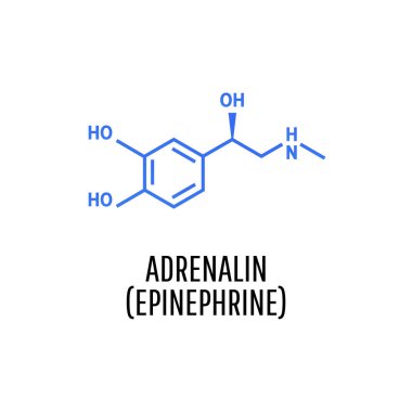 Adrenaline (adrenalin, epinephrine) molecule clipart