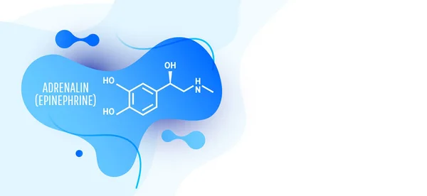Αδρεναλίνη (αδρεναλίνης, επινεφρίνη) μόριο — Διανυσματικό Αρχείο