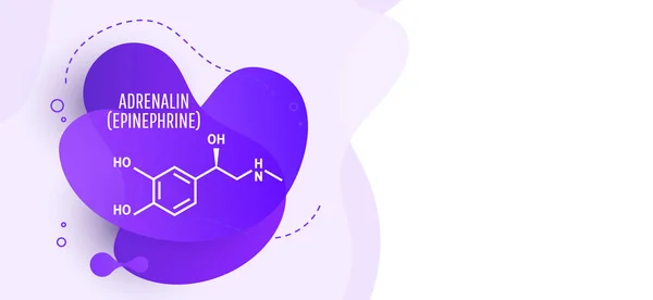 肾上腺素 (肾上腺素, 肾上腺素) 分子 — 图库矢量图片