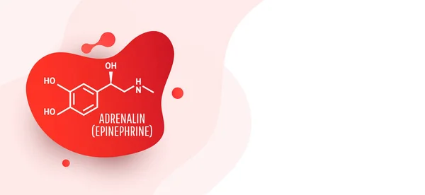 Adrenalina (adrenalina, epinefrina) molécula —  Vetores de Stock