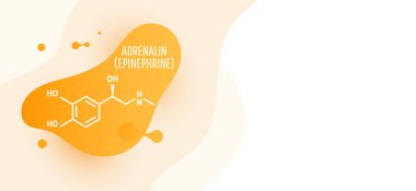 Adrenalin (adrenalin, epinefrin) molekül
