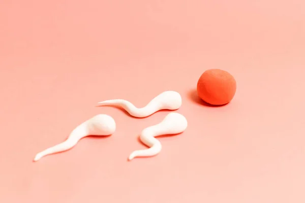 Die Figur des menschlichen Spermas und der menschlichen Eizelle — Stockfoto