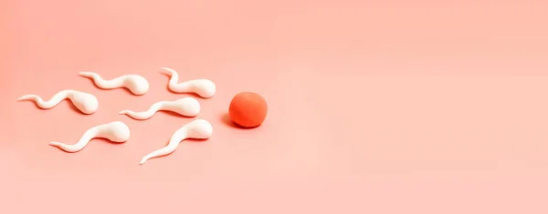 A figura do esperma humano e do óvulo humano — Fotografia de Stock