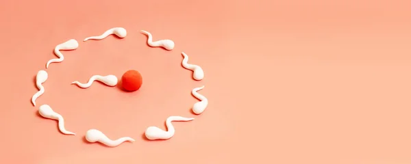 Tıbbi kavramı. İnsan sperm ve yumurta insan figürü — Stok fotoğraf
