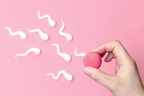 Spermien schwimmen in Richtung Eizellen-Konzept. — Stockfoto