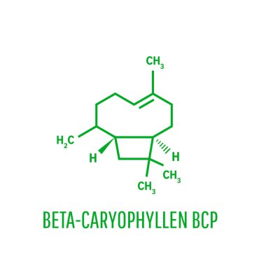 Caryophyllene molecule. Constituent of multiple herbal essential oils, including clove oil. Skeletal formula. clipart