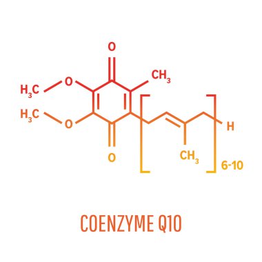 Koenzim Q yaşayan organizmaların normal işleyişi için ve doku yüksek enerji metabolizmasının işlemesi için gereklidir.