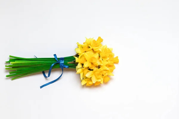 Parlak buket, kokulu bahar çiçekleri, metin alanı ile mavi bir arka planda nergis — Stok fotoğraf