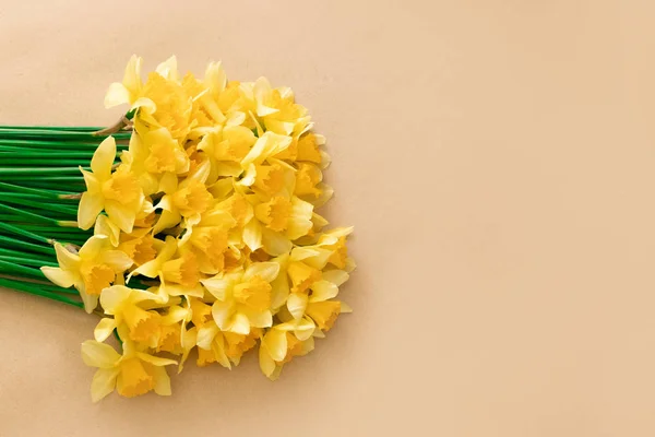 黄色い水仙の花と春の花の背景 — ストック写真