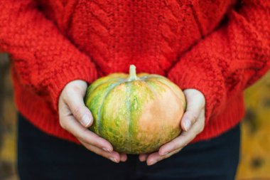 taze bir kabak tutan kırmızı beyaz kazak kadın