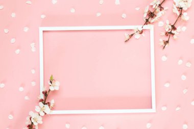 Bahar kompozisyonu. Pembe çiçekler, pembe arka plan üzerinde fotoğraf çerçevesi. Düz döşeme, üst görünüm, kopyalama alanı