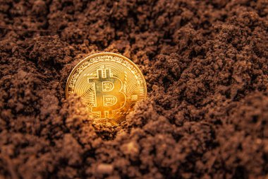 Sanal kripto para birimi bitcoin madenciliği konsepti