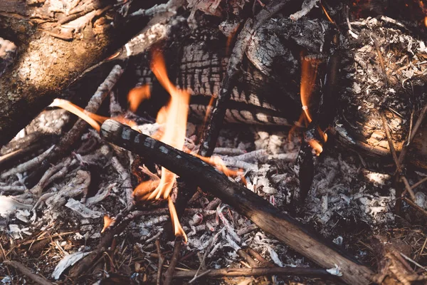 Close-up, wood logs bonfire flame — Stock Photo, Image