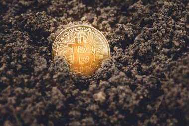 Toprağa bitcoin sikkesi, hazine. Altın bitcoin para biriminin yakın çekim