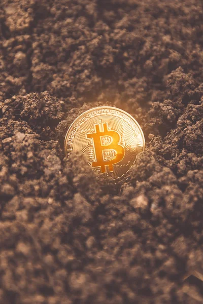 Bitcoin coin in the ground, treasure. Close-up of a golden bitcoin currency — Stock Photo, Image