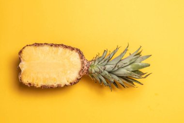 Yaz, tatil konsepti.