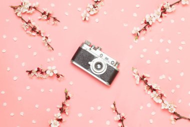 Pembe arka planda eski kamera.