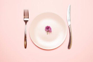 Pembe bir masa örtüsü üzerinde çatal ve bıçak ile pembe boş plaka