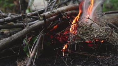 White butterfly sits on a yellow dandelion in the garden