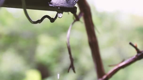 Wasser Fließt Vom Dach Durch Das Rohr Nach Unten — Stockvideo