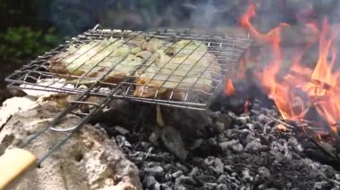 Yaz ormanındaki yangında kömürler üzerinde metal bir ızgarada pişirilen taze et