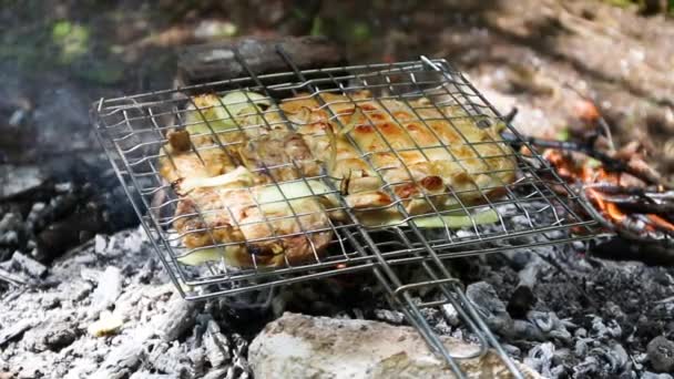 Färskt Kött Bakat Metall Rutnät Kol Brand Sommar Skogen — Stockvideo