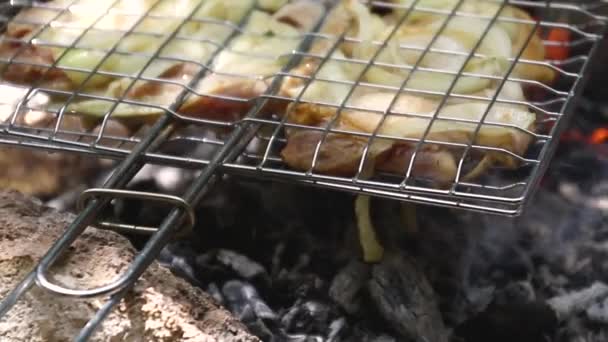 Fresh Meat Baked Metal Grid Coals Fire Summer Forest — Stock Video