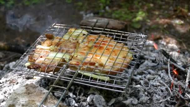 夏季森林火灾中煤上的金属网格中烤制的新鲜肉类 — 图库视频影像