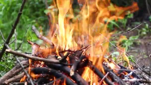 Nagy Tábortűz Természetben Főzés Tüzet Piknik — Stock videók