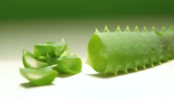 Hautpflege Kosmetik Aloe Vera Pflanze Aus Nächster Nähe — Stockvideo