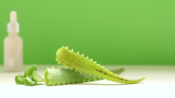 Cosmetici Cura Della Pelle Pianta Aloe Vera Primo Piano — Video Stock