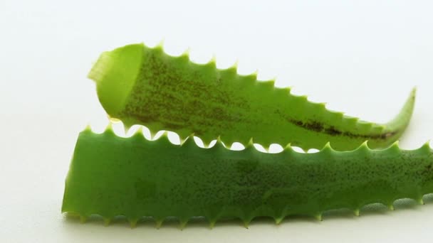 Αλόη Βέρα Κόβει Κοντινό Φυσική Περιποίηση Επιδερμίδας Aloe Vera — Αρχείο Βίντεο