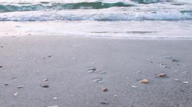 Pitoresk deniz kompozisyonu. Deniz dalgaları kıyıya çivilenmiştir. Deniz tarafından temiz sarı kum