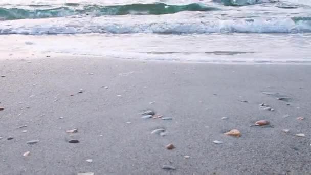 Composition Pittoresque Mer Les Vagues Mer Sont Clouées Rivage Sable — Video