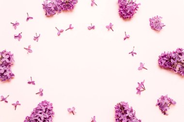 Bahar kavramı. pembe bir arka plan üzerinde taze leylak çiçek çerçeve