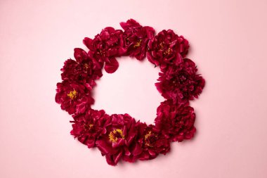 Şakayık çiçek dokusu