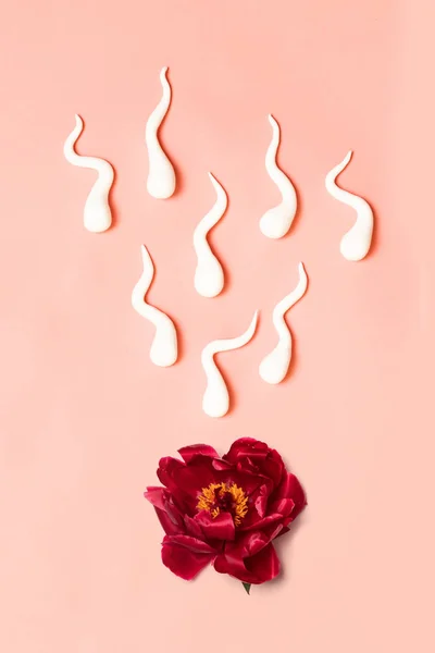 In vitro fertilisatie. Medisch concept van kunstmatige inseminatie. Rode pioen bloem met kunststof sperma vormen — Stockfoto