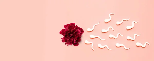 Rode pioen bloem met kunststof sperma vormen — Stockfoto